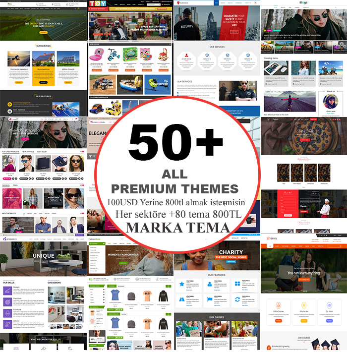 +50 WORDPRESS toptan tema